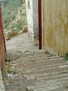 LA CALERE (64)